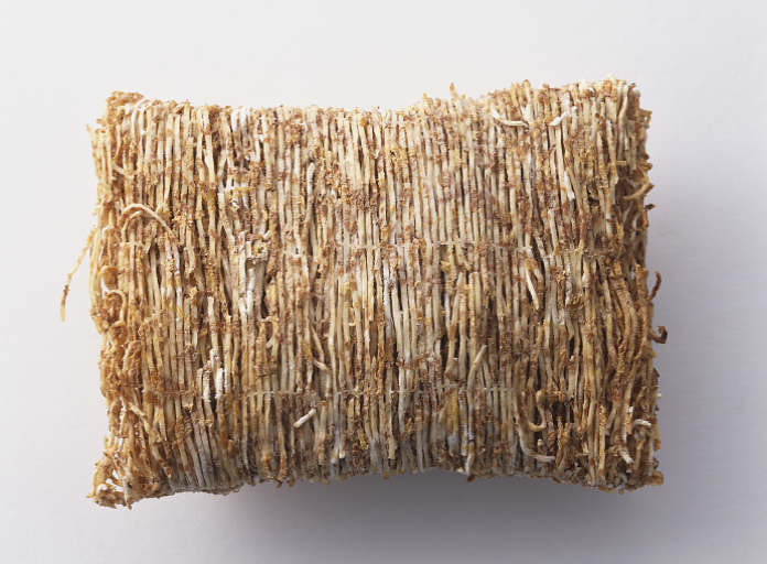 shredded-wheat