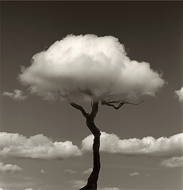 Chema Madoz, arbre nuage