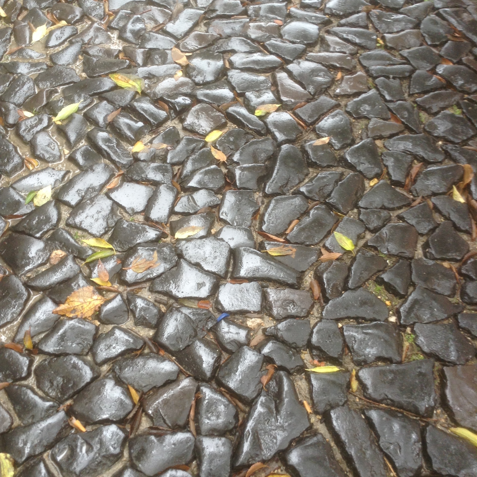 Le pavé sous la pluie à Lisbonne